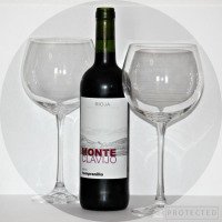 Вино красное сухое Monte Clavijo Tempranillo Rioja DOC