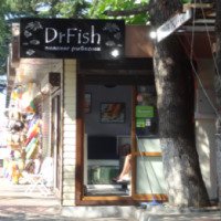 Салон DrFish пилинг рыбками Гарра Руфа (Россия, Лазаревское)