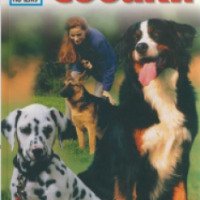 Книга "Зачем и почему. Собаки" - издательство Мир Книги