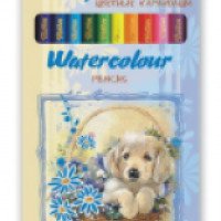 Акварельные цветные карандаши Hatber Watercolor