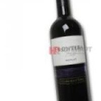 Вино красное полусухое Concha y Toro Frontera Chile Merlot