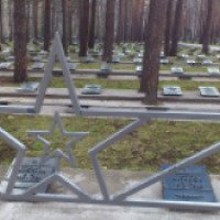 Мемориал "Раненый воин" (Россия, Новосибирск)