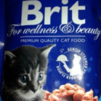 Влажный корм для кошек Brit premium for kitten