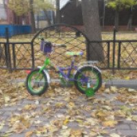 Детский велосипед Forward Skif 014