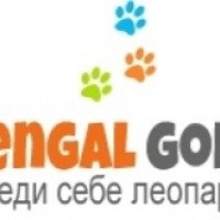 Питомник Bengal Gold (Россия, Москва)