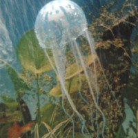 Силиконовая медуза для аквариума Алиэкспресс