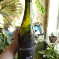 Винный напиток Таманская винная компания - Кубань "Lambrusco Bianco RUNE`S WINE"