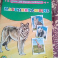 Обучающие карточки "Млекопитающие" - издательство Проф Пресс