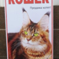 Международная выставка кошек (Россия, Нижний Новгород)