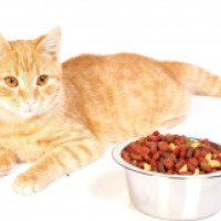 Сухой корм для кошек Cat Food