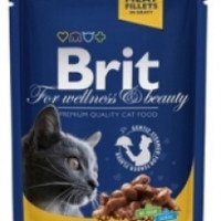 Влажный корм для кошек Brit Premium Chicken and Turkey