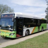 Автобусы г. Канберра (Австралия)