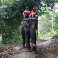 Экскурсия "Катание на слонах" (Таиланд, Самуи)