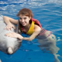 База отдыха и центр общения с дельфинами "Степная гавань" (Крым, Евпатория)