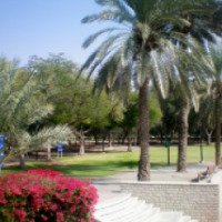 Парк Al Safa (ОАЭ, Дубаи)