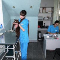 Ветеринарная клиника "Айболит" (Россия, Белая Калитва)