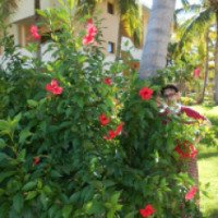 Мини-ботанический сад в отеле Catalonia Bavaro Beach, Golf & Casino Resort 5* (Доминикана, Пунта Кана)