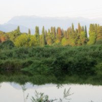 Отдых в поселке Цитрусовый совхоз (Абхазия)