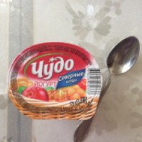 Чудо йогурт "Северные ягоды"