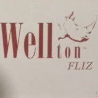 Флизелин для ремонтных и малярных работ Wellton Fliz