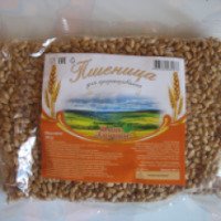 Пшеница для проращивания СтройДорс "Ваше здоровье"