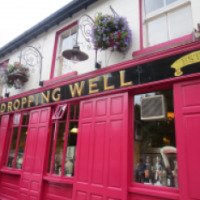 Ресторан The Dropping Well Bar & Restaurant (Ирландия, Дублин)