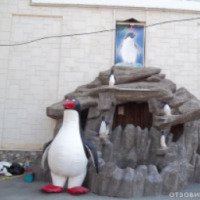 Пингвинарий в п. Лазаревское (Россия, пос. Лазаревское)