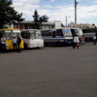 Общественный транспорт Крыма (Крым)