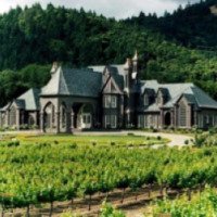 Винодельня Ledson Winery & Vineyards 