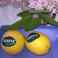 Лимон Tekasya