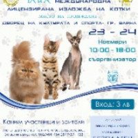 Международная выставка кошек (Болгария, Варна)