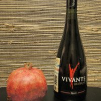 Вино игристое красное брют Riunite Lambrusco Vivante