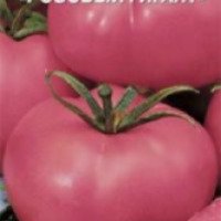 Семена томата Семена Украины "Розовый гигант"