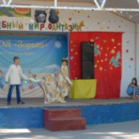 Детский оздоровительный лагерь "Зорька" (Россия, Дмитриадовка)