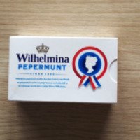 Конфеты мятные Fortuin "Wilhelmina"