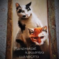 Блокнот "Маленькие кошачьи шалости" - издательство Речь