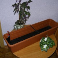 Балконный ящик для растений Ebertsankey
