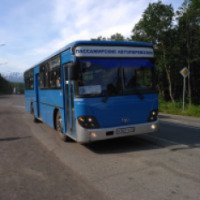 Автобусный маршрут №110 Елизово - Термальный (Россия, Елизово)