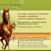 Lowadi.com - экономический симулятор конного спорта