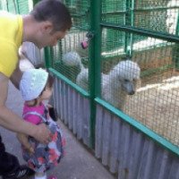 Зоопарк "Мир спасет доброта" (Россия, Москва)