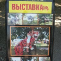 Выставка "Мир животных в металле" в пос. Кабардинка (Россия, Краснодарский край)