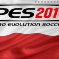 Pro Evolution Soccer 2013 - игра для Windows