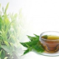 Зеленый чай MABROC стандарт GP1 (Gunpowder) Green Tea