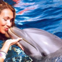 Экскурсия "Плавание с дельфинами Dolphin kiss" от Pegas Touristik 