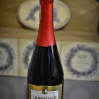 Винный газированный напиток Lambrusco Rosso Semidulce