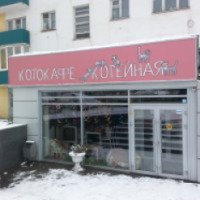 Котокафе "Котейная" (Россия, Уфа)