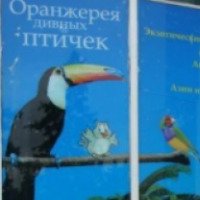Оранжерея дивных птичек на ВВЦ (Россия, Москва)
