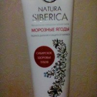 Натуральная сибирская зубная паста Natura Siberica "Морозные ягоды"