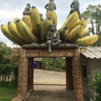 Школа обезьян на острове Ко Чанг (Таиланд)