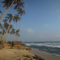Пляж Коггала (Шри-Ланка, Коггала)